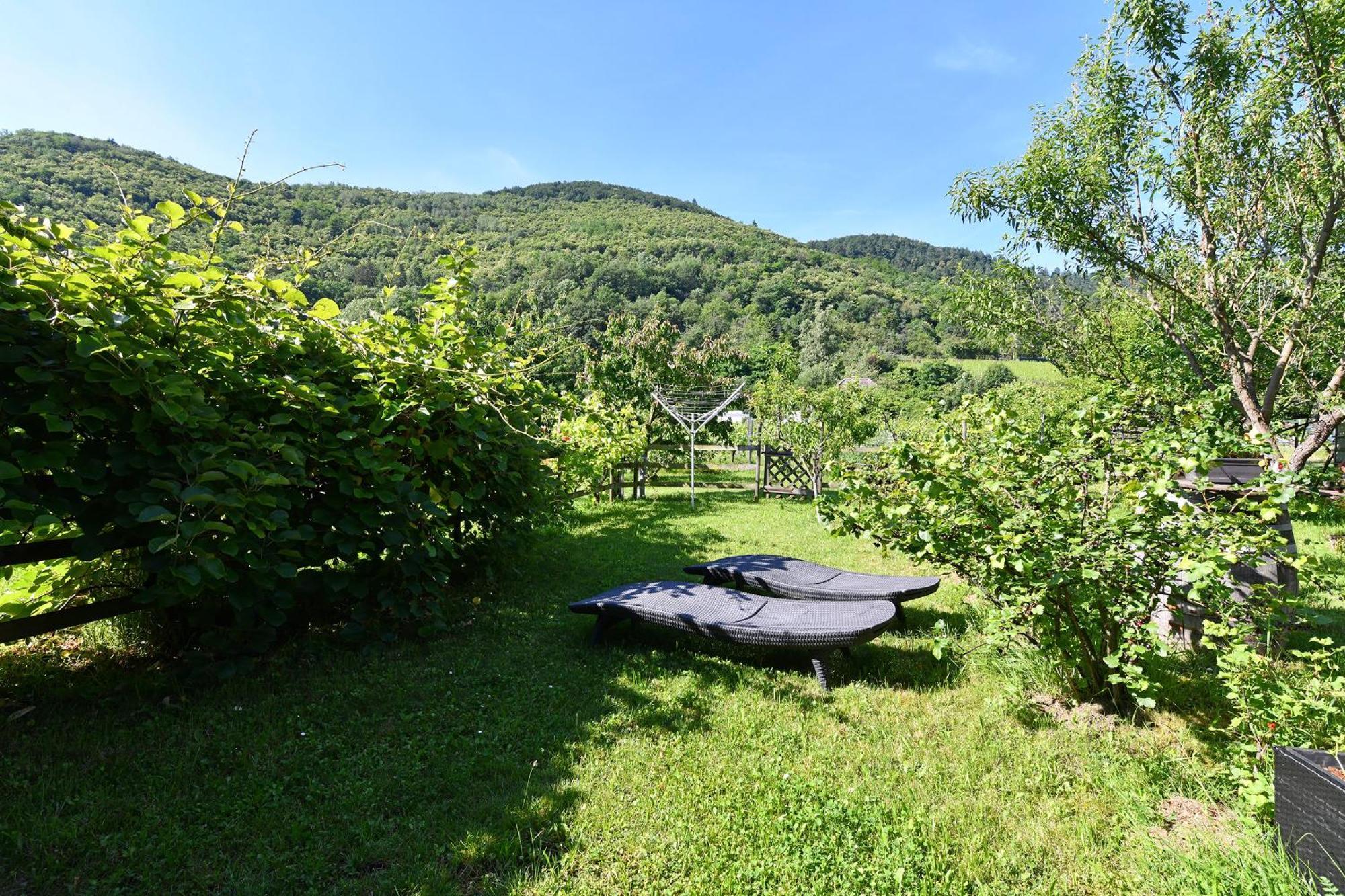 Gîte Pâquerettes avec Jardin Kaysersberg-Vignoble Extérieur photo